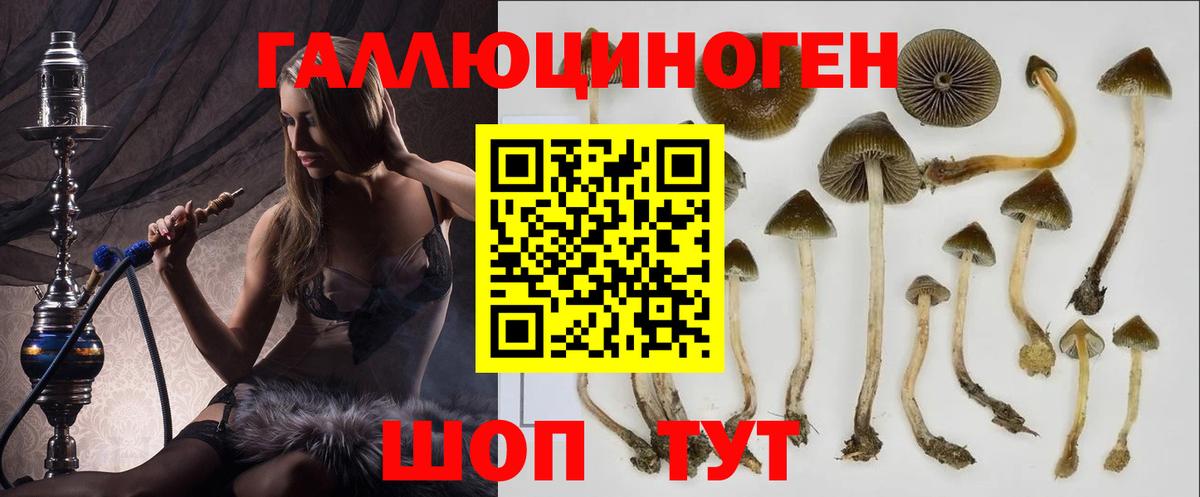 Галлюциногенные грибы мицелий  Галлюциногенные грибы мухоморы  наркотики  Нижнеудинск  Вход с VPN 