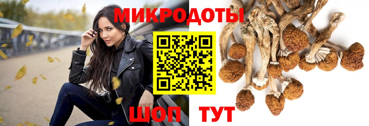 Галлюциногенные грибы мухоморы Нижнеудинск